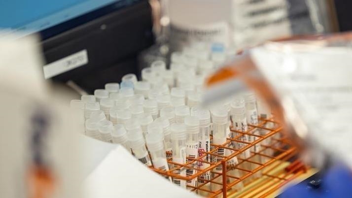 Za dvije sedmice epidemije 71 slučaj leptospiroze u Kantonu Sarajevo