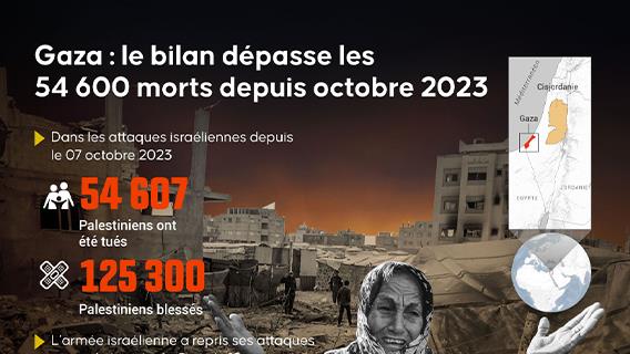 Infographie