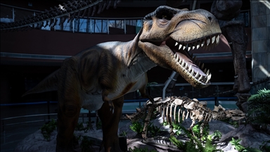 Çin'in Heyulan Dinozor Müzesi