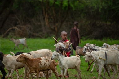 La tribu Maasaï, puissants guerriers d’Afrique 