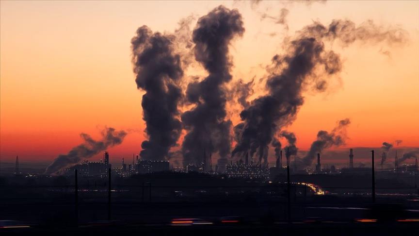 Fossil fuel lobby at COP26 larger than any single country: Analysis