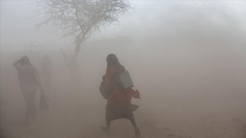 Egypt, US to contribute $150 million for Africa's adaptation to climate change