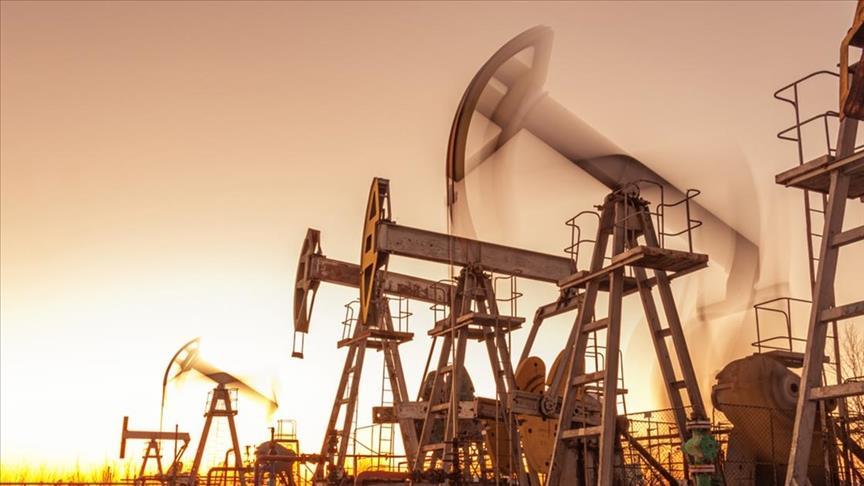 OPEC+ countries announce daily voluntary output cuts by 2.2 million barrels