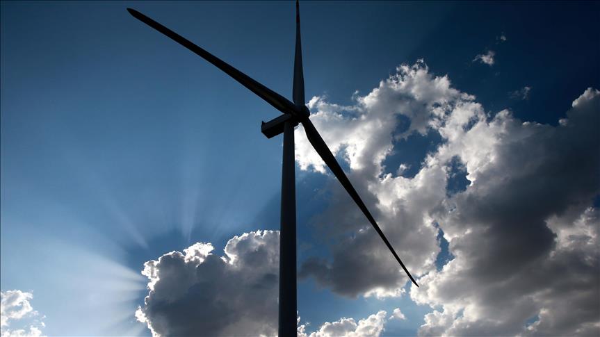 Denmark announces biggest offshore wind tender in its history