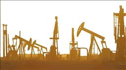 OPEC+ agrees to extend group-wide output cuts into 2025