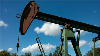 US energy agency revises down Brent price forecast for 2025