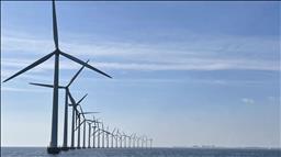 Global wind power capacity sees record growth in 2024