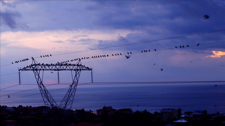Günlük elektrik üretim ve tüketim verileri